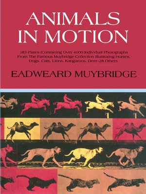 cover image of Animals in Motion